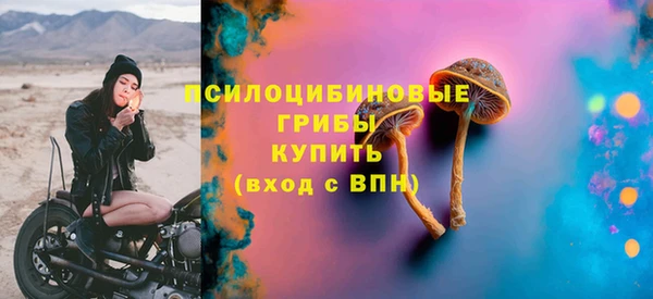 дурь Бежецк