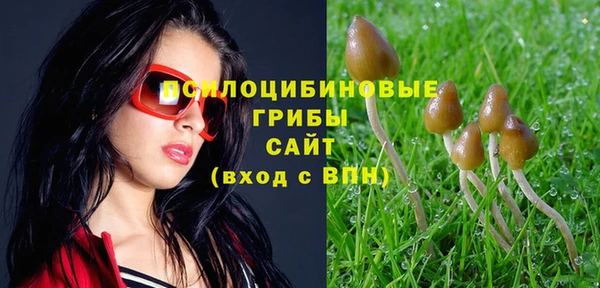 синтетический гашиш Михайловск
