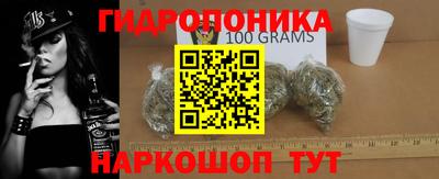 спайс Берёзовский