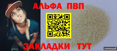 спайс Берёзовский