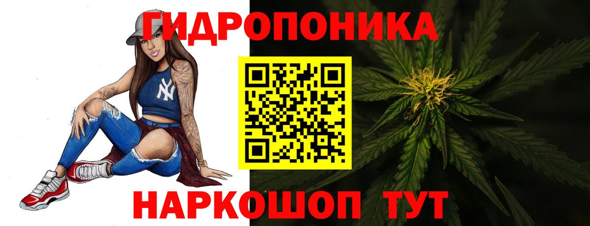 Бошки Шишки планчик  Вход с VPN  Каннабис сатива  Бошки марихуана план  Нефтеюганск 